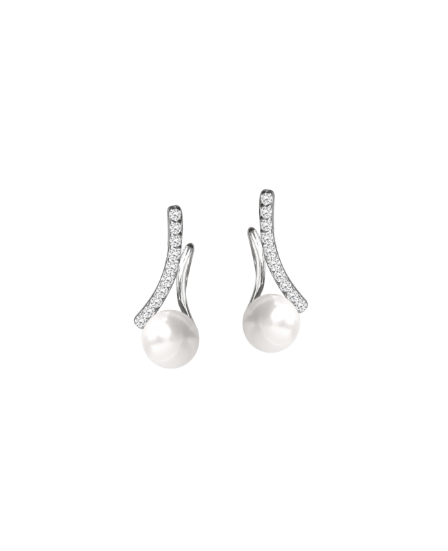 boucles d'oreilles en argent 925/1000